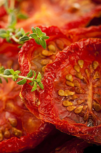 意大利日晒干西红番茄蔬菜美食种子框架红色脱水水平图片