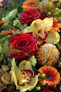 花朵安排中的玫瑰和兰花绿色植物学红色植物花束植物群花店花瓣橙子图片