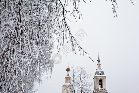 白树和黄色教堂建筑学灰色圆顶历史天空白色建筑钟楼水平教会图片