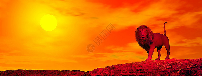 日落前狮子 - 3D图片