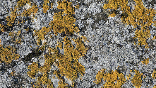 自然石头背景材料岩石装饰建筑学风格灰色棕色制品墙纸水泥图片