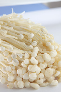 白蘑菇蔬菜白色图片