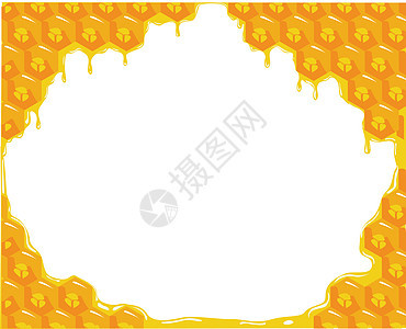关于蜂窝的橙色背景 矢量六边形绘画墙纸蜂蜡蜜蜂食物蜂巢插图卡通片细胞图片