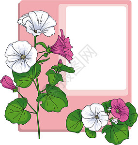 带花花的文字框架植物群生长绿色花朵叶子白色树叶插图花束粉色图片
