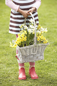 花园中食水仙子女孩持有篮子的详情微笑花朵场地混血享受雨靴水仙花靴子季节季节性图片