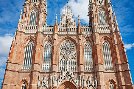 阿根廷拉普拉塔市的大教堂 阿根廷雕像上帝建筑学文化天空宗教教会教堂旅游灵魂图片