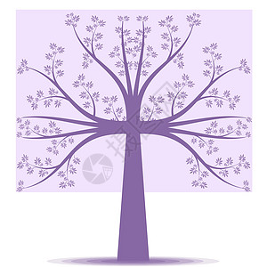 艺术树生长叶子树干装饰漩涡季节紫色风格植物白色背景图片