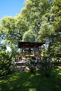 绿树背景的日本钟声中建筑地区旅游寺庙文化景点橙子入口兴趣神社图片