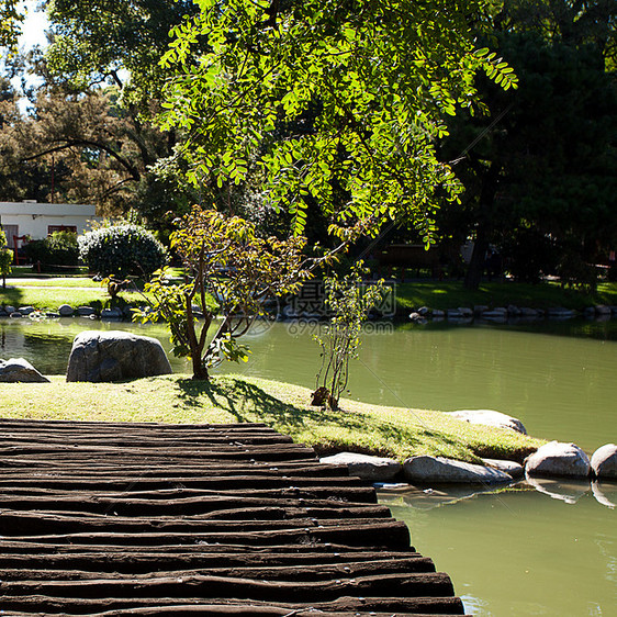 与公园的木桥和池塘海水樱花房子墨田园艺建筑物风景松树恩赐花园图片