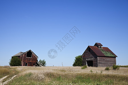 旧农场建筑玉米农业谷仓红色天空场地废墟筒仓图片