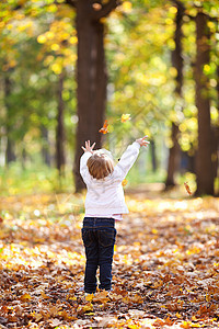 美丽的小女孩在森林里扔叶子的树叶童年红色女性森林孩子黄色微笑女孩季节乐趣图片