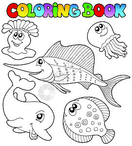 海洋动物彩色书籍 2图片