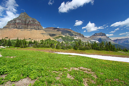 冰川国家公园国家顶峰环境场景公园高山植物绿地栖息地旅行图片