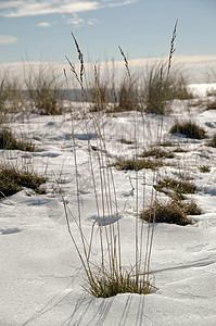 在海滩边的冬天图片