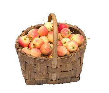 苹果作物饮食团体季节小吃植物红色柳条食物黄色收成图片