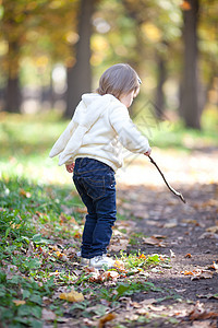 秋天森林上有根棍子的美丽的小女孩喜悦橙子红色孩子女孩童年公园黄色乐趣叶子图片