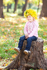 美丽的小姑娘 坐在石板上 坐着一朵满是青梅树叶的花圈里叶子女性喜悦快乐森林季节童年幸福女儿乐趣图片