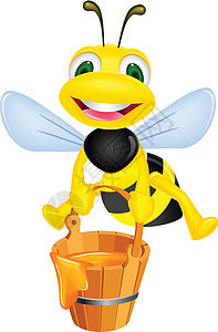 蜂蜜蜜蜂荒野动物微笑昆虫乐趣金子工人养蜂业航班蜂巢图片