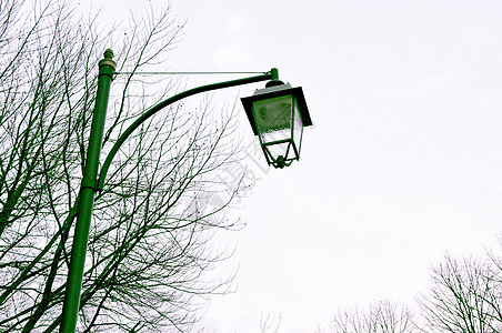 街灯树木天空街道路灯背景图片