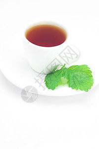 茶杯和薄荷茶 白的与世隔绝味道午餐茶壶饮料杯子静物飞碟薄荷早餐植物图片