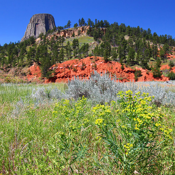 怀俄明州的魔鬼塔巨石环境阳光石头场景公园地形遗产草原纪念碑图片