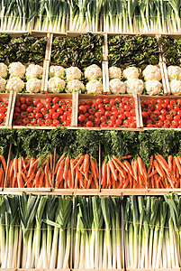不同种类的蔬菜栽培饮食生物叶绿素纤维韭葱营养多样性市场商务图片