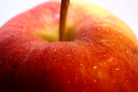 一个苹果水果红色美食食物背景图片