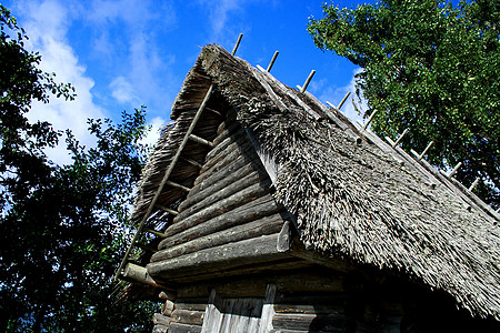 房顶是用制成的房子家乡旅游技巧木头异国庇护所情调屋顶竹子图片