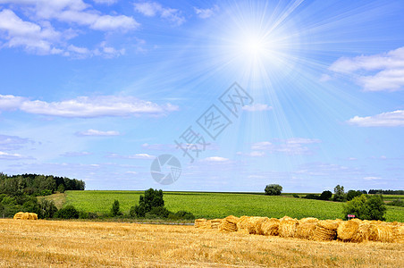 夏季风景绿色场景小麦土地干草农场阳光稻草金子蓝色图片