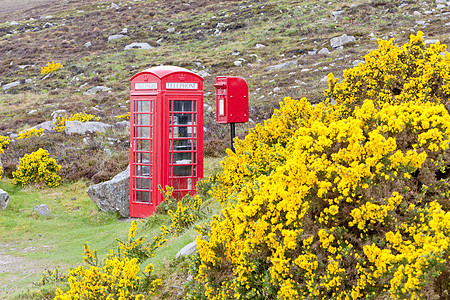 苏格兰Laid附近电话亭和信箱摊位公用植物群黄色外观邮政植被衬套电讯电话图片