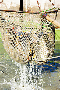 蓄积池动物群动物钓鱼外观池塘渔业收获池图片