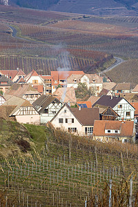 法国阿尔萨斯州Hunawihr葡萄房屋种植农村村庄酒业国家世界房子旅行图片