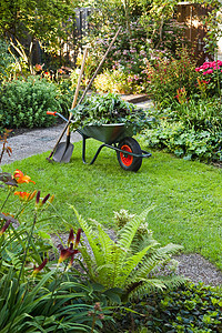 在花园里用手推车工作打扫活动乐趣生长园艺花朵园丁厨房石头独轮车图片