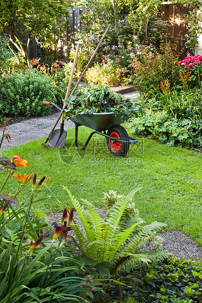 在花园里用手推车工作打扫活动乐趣生长园艺花朵园丁厨房石头独轮车图片