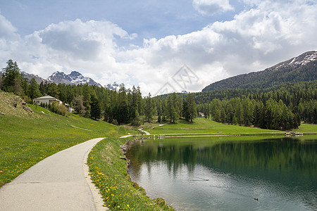 瑞士圣莫里茨湖树木蓝色风景反射小路发动机山脉踪迹旅行全景图片