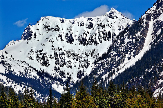 4月斯诺夸尔梅过华盛顿的奇卡明峰雪山图片