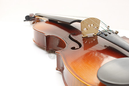 白色背景上的弦乐器小提琴图片