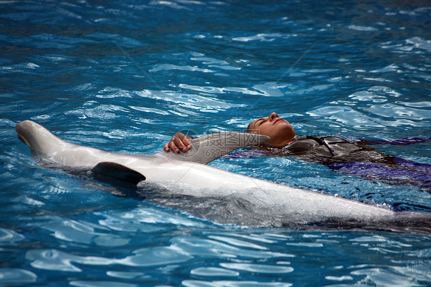 海豚体育直播篮球赛事全程高清无延迟精彩对决尽在掌握