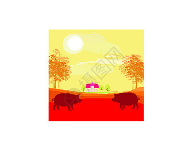 自然背景的猪群艺术动物村庄鼻子农业乐趣卡通片宠物小猪快乐图片