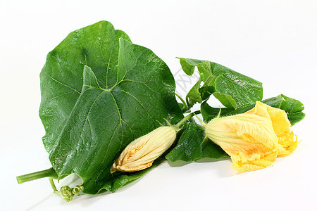 南瓜花蔬菜植物绿色树叶水果农业黄色花园收成食物图片