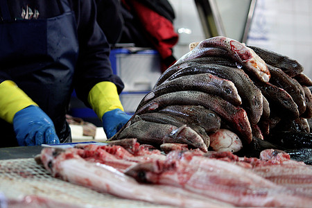被剥去的鲨鱼肉大部分捕鲸猫鲨海鲜美食销售食物钓鱼美味市场图片