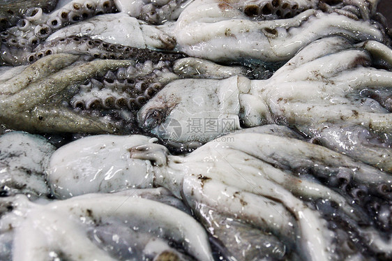 市场上的八角市场触手销售章鱼美食海鲜钓鱼食物大部分美味图片