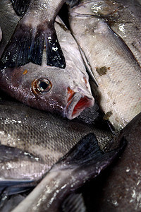 丁膜堆积食物销售大部分钓鱼市场美味美食海鲜图片