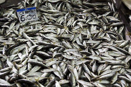 硬纸堆竹荚鱼美食市场标签钓鱼鲭鱼海鲜销售美味竹节背景图片