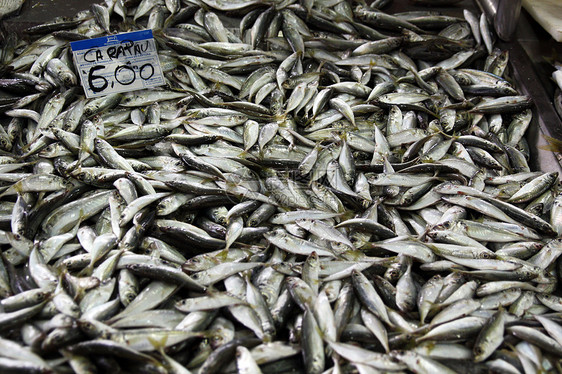 硬纸堆竹荚鱼美食市场标签钓鱼鲭鱼海鲜销售美味竹节图片