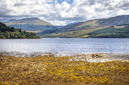 Loch Fyne 海岸湖图片