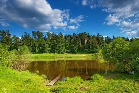 夏天的风景与一个小湖 在松树的背景图片