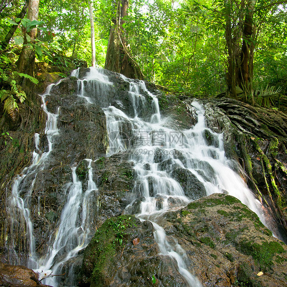 瀑布热带绿色溪流岩石环境森林通赛苔藓公园雨林图片