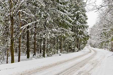 冬季被雪覆盖的木柴中的道路寒冷运输旅行曲线车道风景国家森林植物城市图片