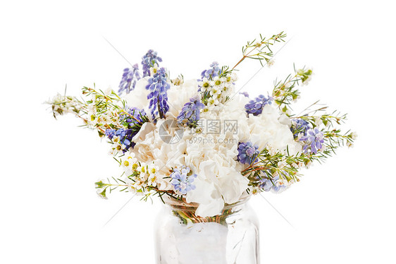 春花礼物荒野婚礼生活牡丹展示母亲宏观园艺蓝色图片